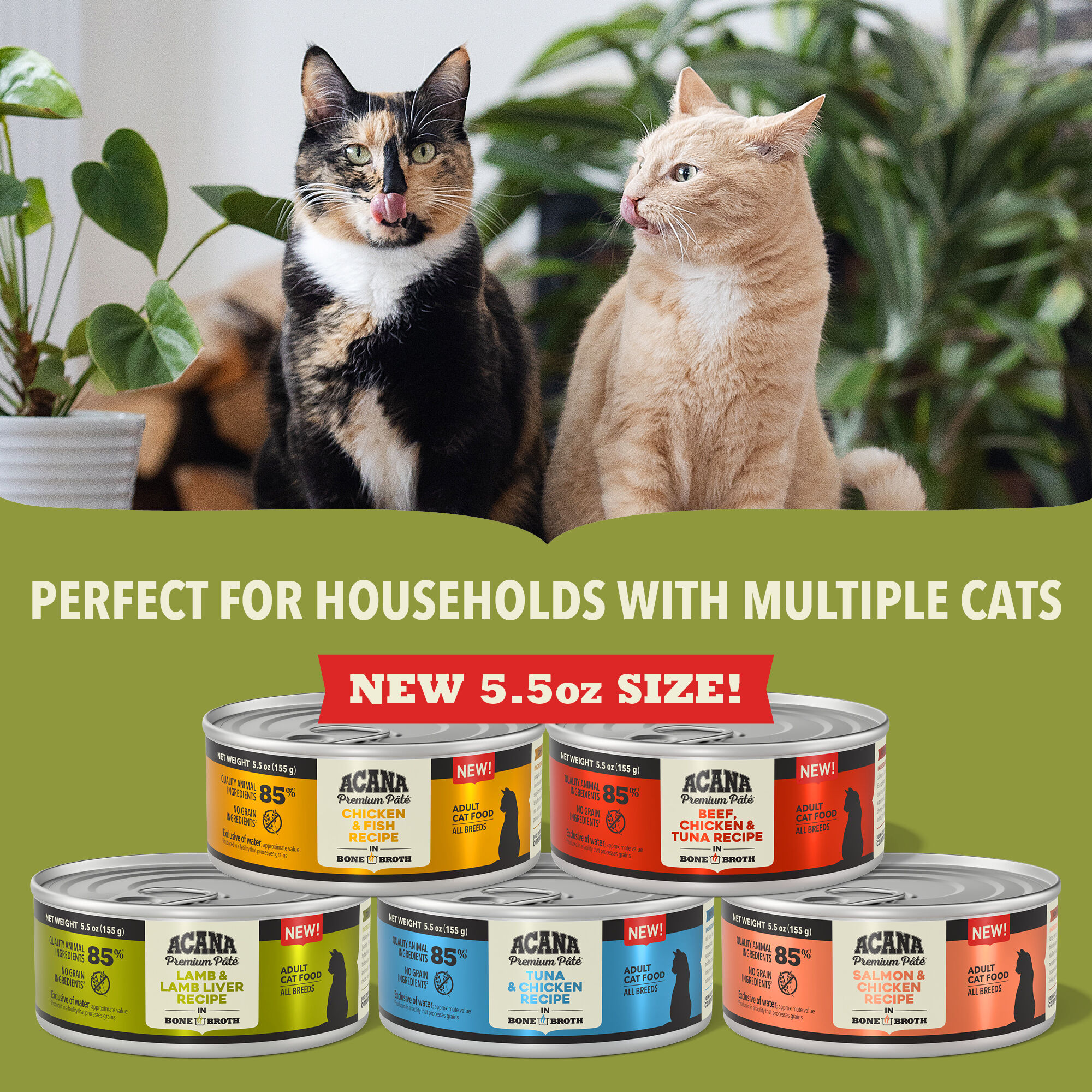 Aldi senior cat food new arrivals